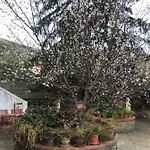 Hotel Hébergements à La Rive, Accueil Ouvert Tous Les Jours Jusqu'à 20h00 Dernier Délai, Depuis 30 Ans ! Réserver Ici Svp ! Merci ! Aucun Règlement à Distance Accepté, Paiement Par Cb, Espèces, Chèque Ou Chèques-vacances Impérativement à La Remise Des Clef *