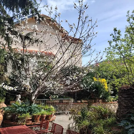 Hebergements A La Rive: Accueil Chaleureux Et Paiement Flexible Hotel Amelie-les-Bains-Palalda