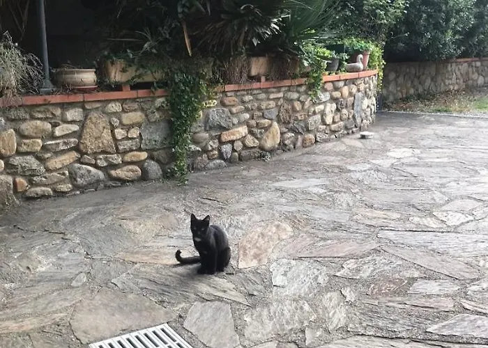 Ξενοδοχείο Hebergements A La Rive, Accueil Ouvert Tous Les Jours Jusqu'a 20h00 Dernier Delai, Depuis 30 Ans ! Reserver Ici Svp ! Merci ! Aucun Reglement A Distance Accepte, Paiement Par Cb, Especes, Cheque Ou Cheques-vacances Imperativement A La Remise Des Clef *